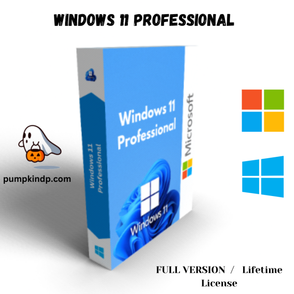 windows 11 professional